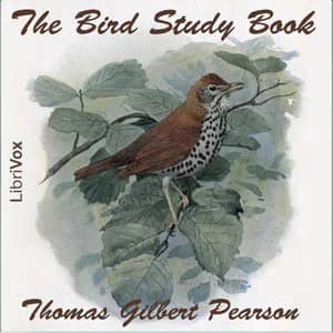 Bird Study Book