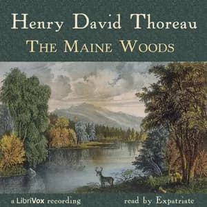Maine Woods