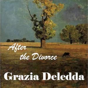 After the Divorce