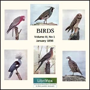Birds, Vol. III, No 1, January 1898